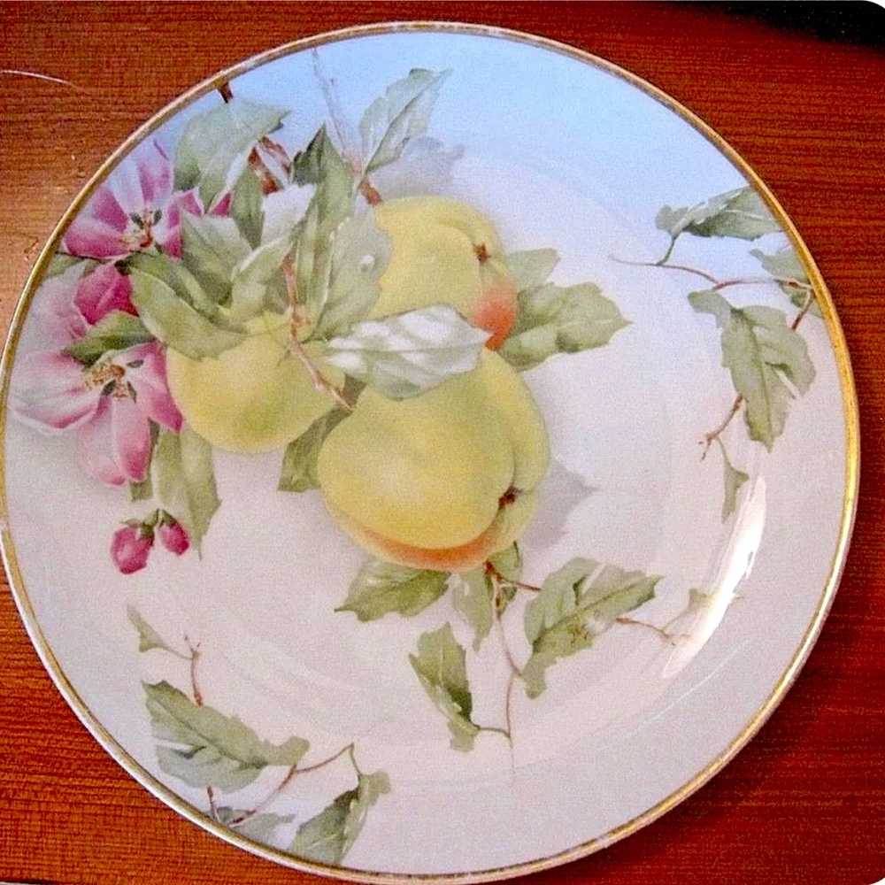 GORGEOUS Antique Rosenthal Bavaria Hand Painted Apples Plate 8.5" Rosenthal Mark